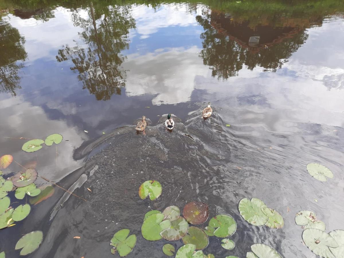 Waterhuis Friesland Oudwoude Zewnętrze zdjęcie